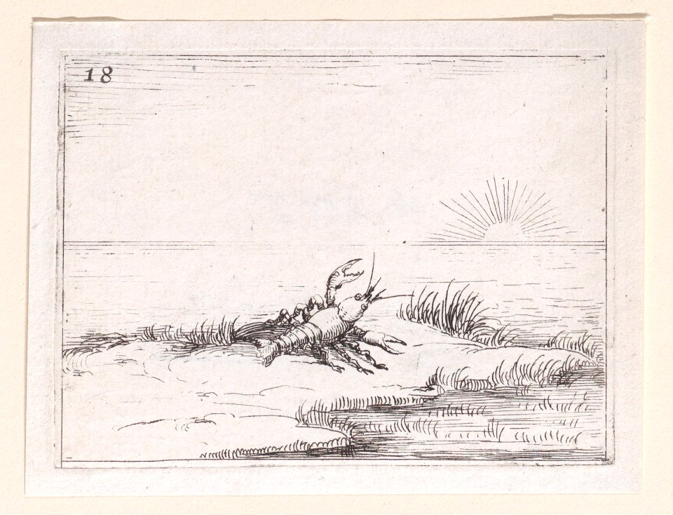 Une Ecrevisse Regardant le Soleil (A Crayfish Looking at the Sun) Met DP890723