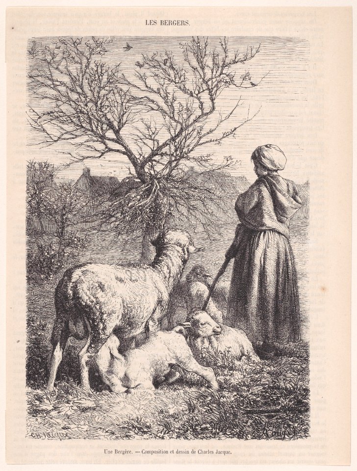 Une Bergère; from Magasin Pittoresque Met DP888864
