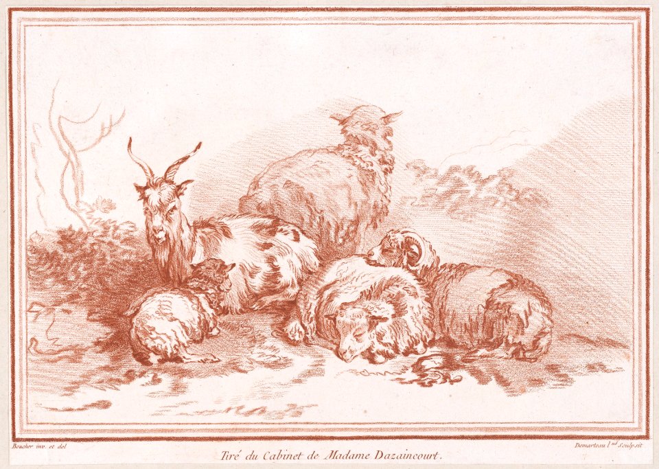 Une chèvre et quatre moutons Met DP889545