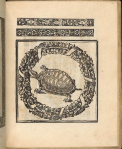 Trionfo Di Virtu. Libro Novo..., page 21 (verso) MET DP361731