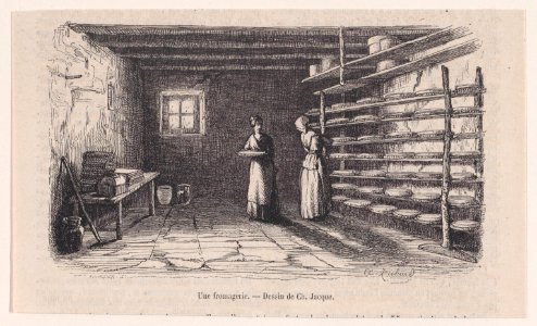 Une fromagerie; from Magasin Pittoresque Met DP888846