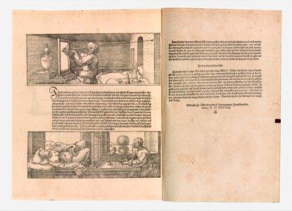 Underweysung der Messung (Nuremberg, 1538) MET DP345232