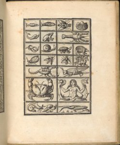 Trionfo Di Virtu. Libro Novo..., page 23 (verso) MET DP361735