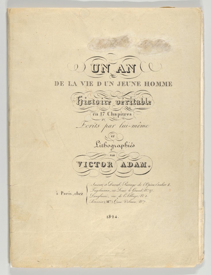 Un an de la vie d'un jeune homme MET DP854883