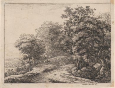 Two Men in a Hollow MET DP876203