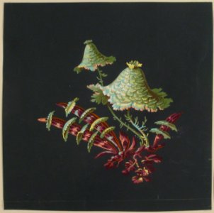 Two Hat-Shaped Chinoiserie Flowers with Fanciful Leaves MET 28.55.4