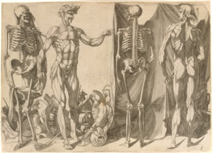Two Flayed Men and Their Skeletons MET DT256384