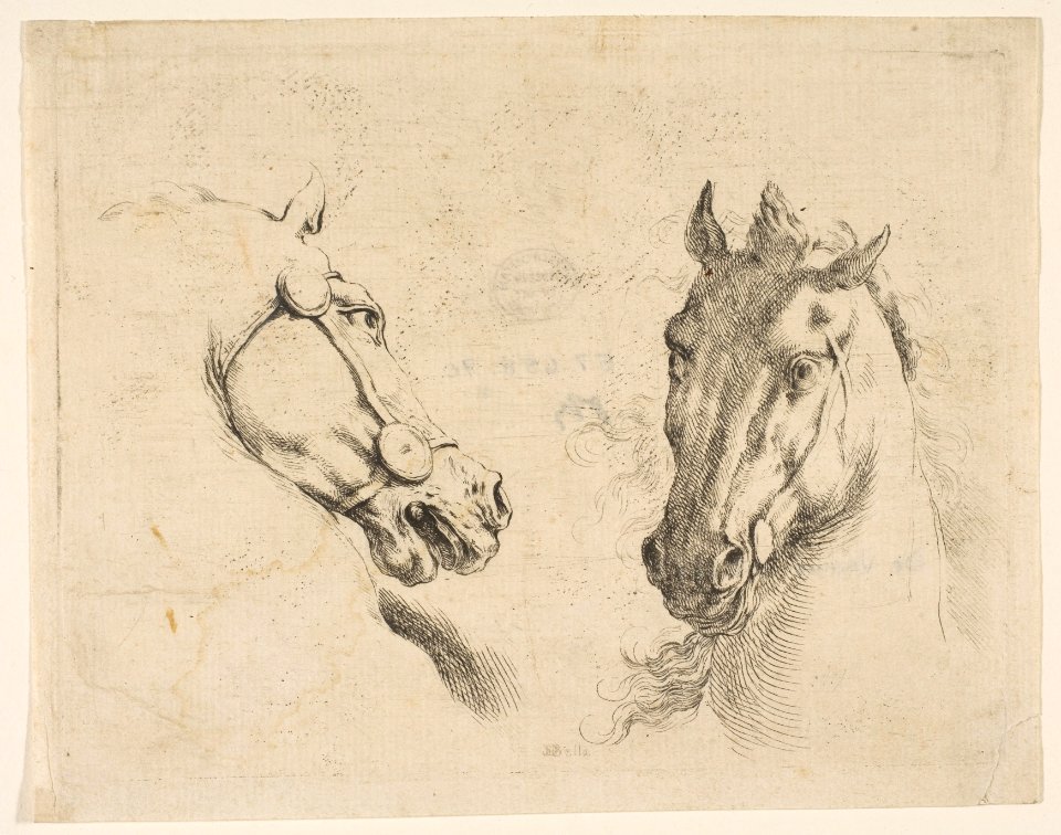 Two Horse Heads MET DP817805