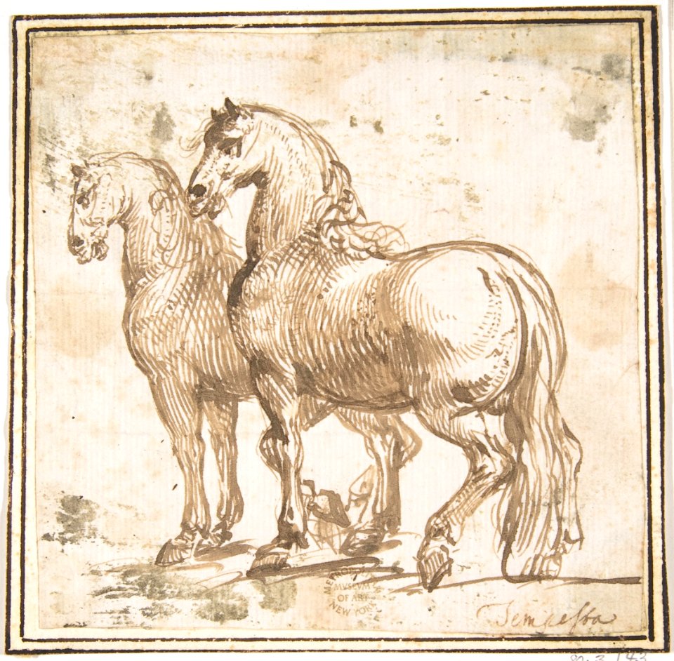 Two Horses MET DP807580