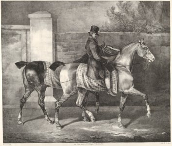 Two Horses Exercised by a Jockey MET DP837364