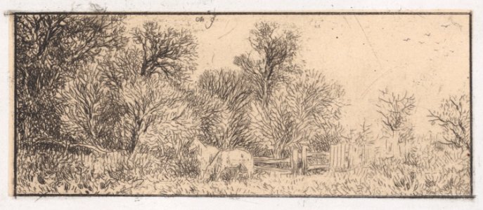 Two Horses in the Woods Met DP887209