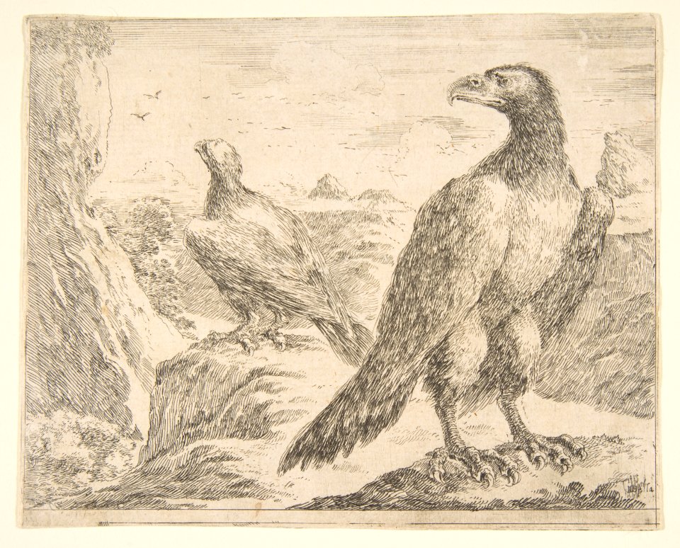 Two eagles, from 'Eagles' (Les aigles) MET DP817799