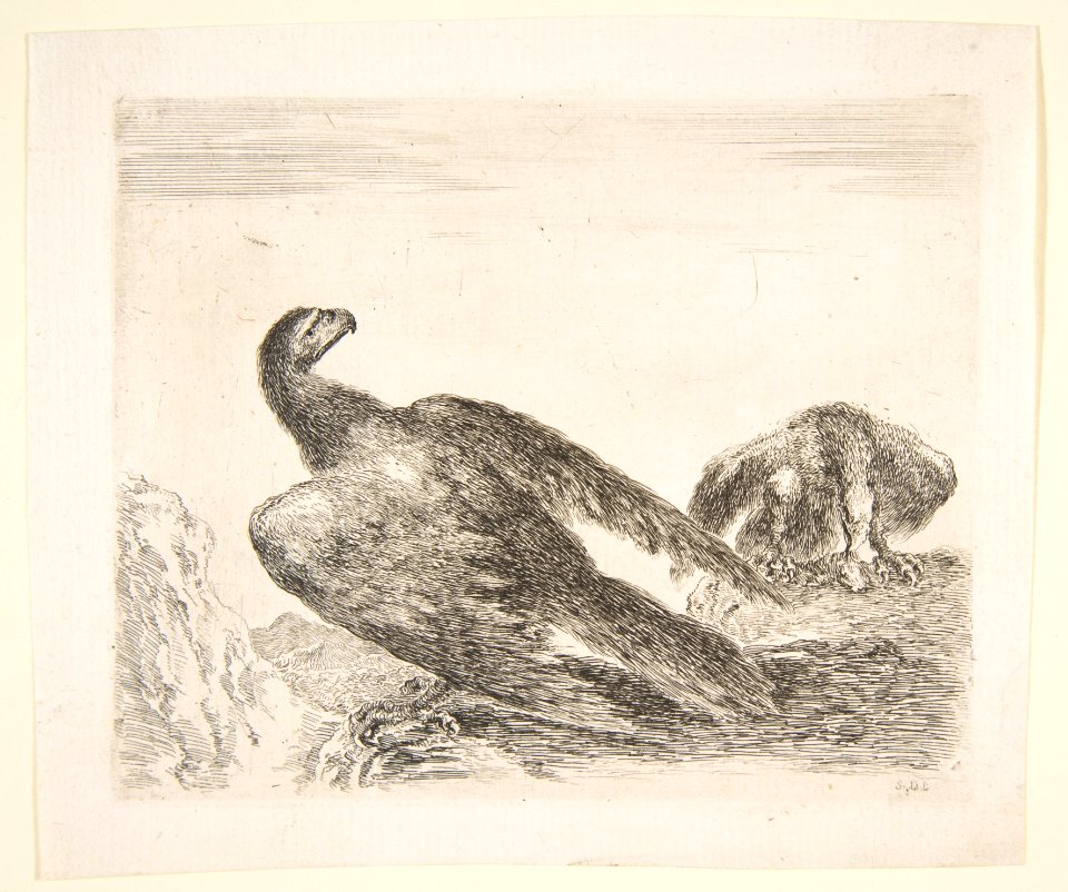 Two eagles, one with prey, from 'Eagles' (Les aigles) MET DP817801