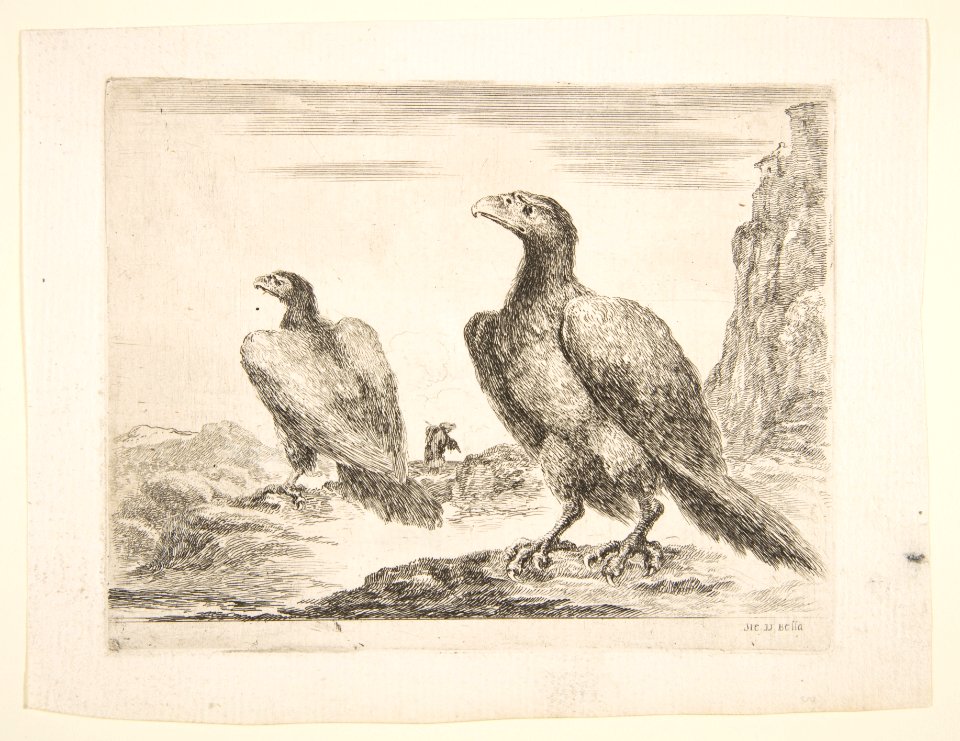 Two eagles, from 'Eagles' (Les aigles) MET DP817798