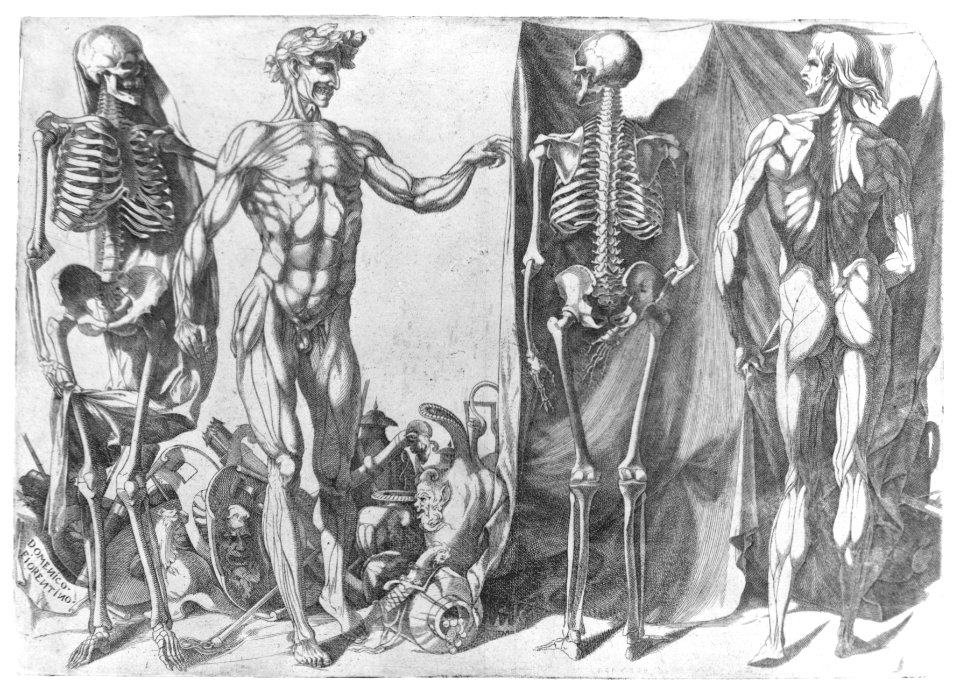 Two Flayed Men and Their Skeletons MET MM24758