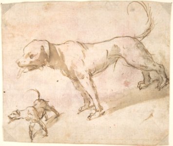 Two Dogs MET DP800411