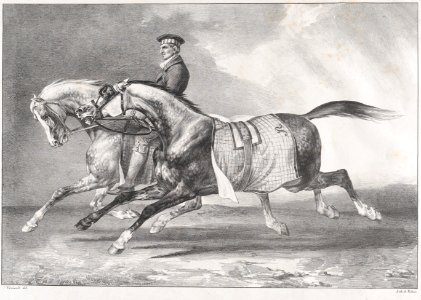 Two Dappled-Grey Horses Being Exercised MET DP875692