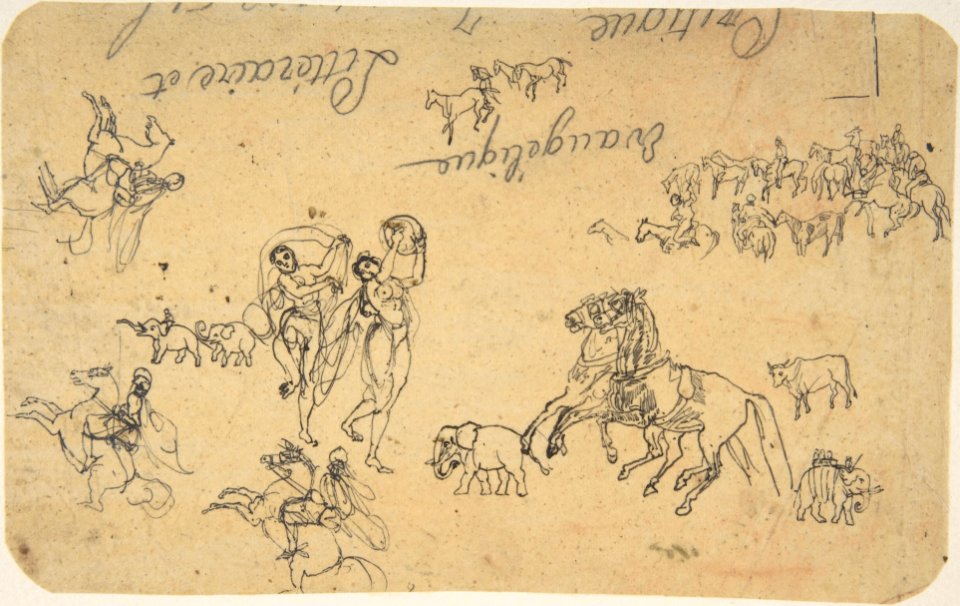 Various Studies MET DP805520