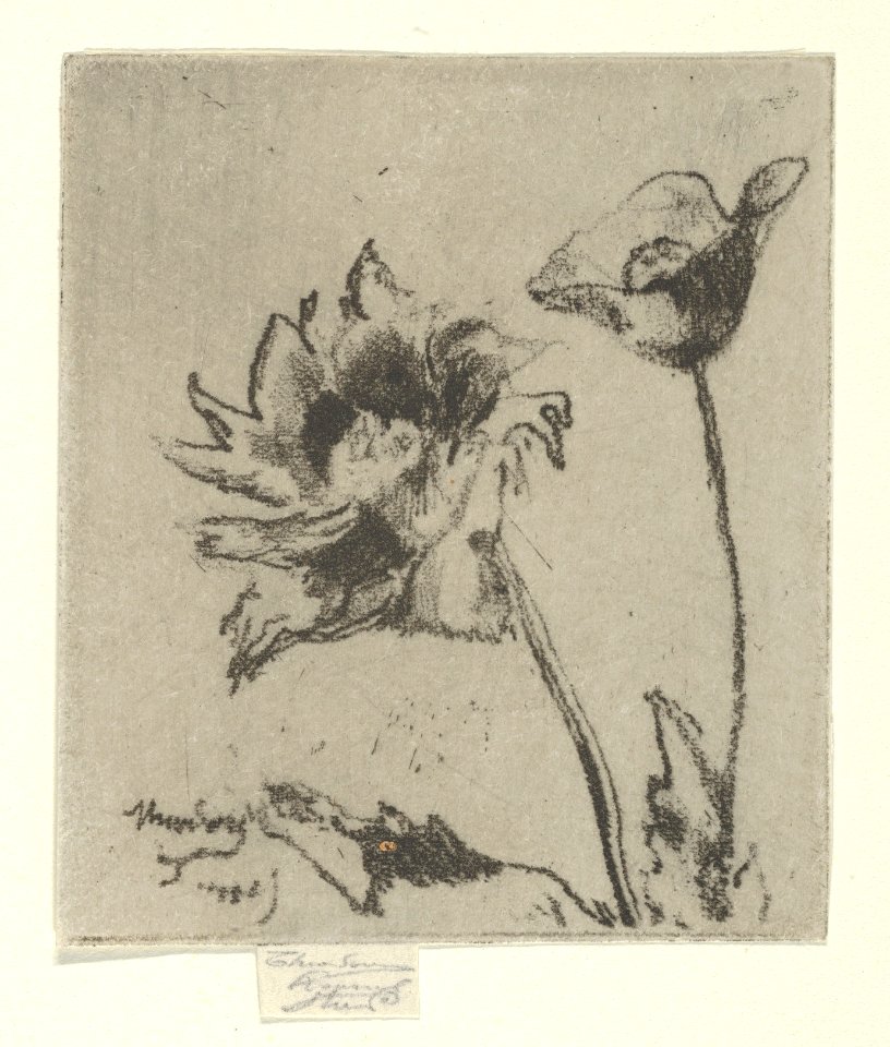 Two Flowers MET DP843933