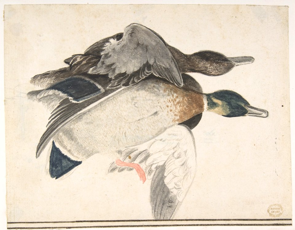 Two Dead Ducks MET DP809434