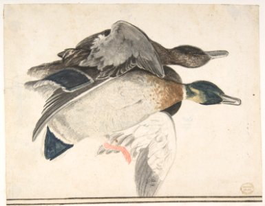 Two Dead Ducks MET DP809434