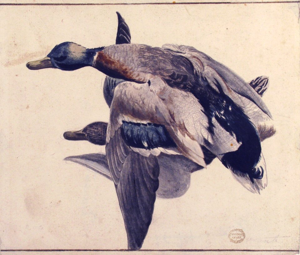 Two Dead Ducks. MET 80.3.204