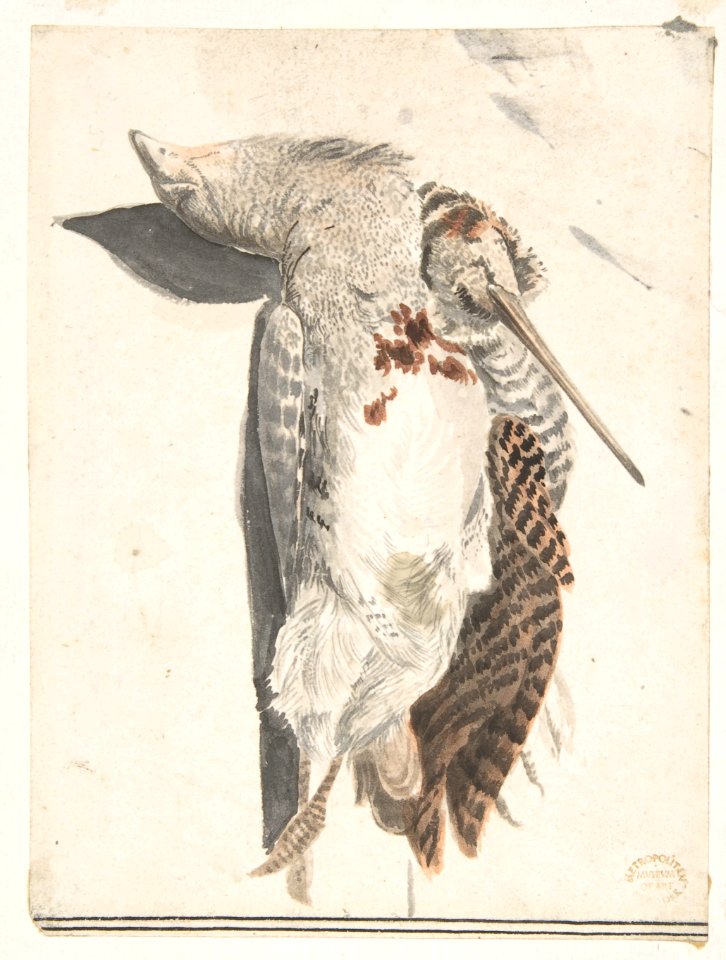 Two Dead Birds (A Quail and a Long-Beaked Bird). MET DP809440