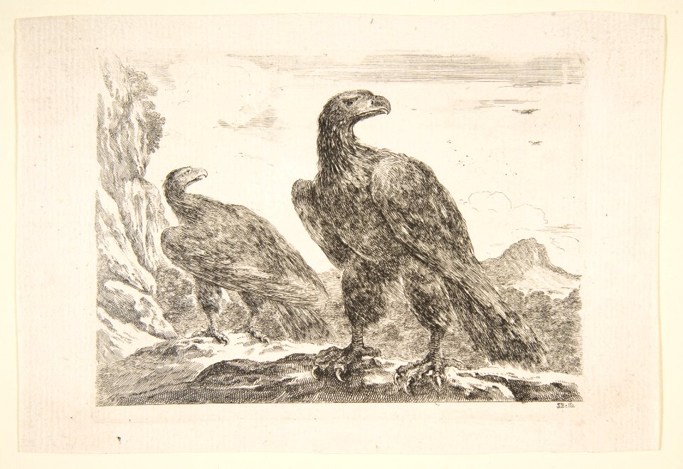 Two eagles, from 'Eagles' (Les aigles) MET DP817800