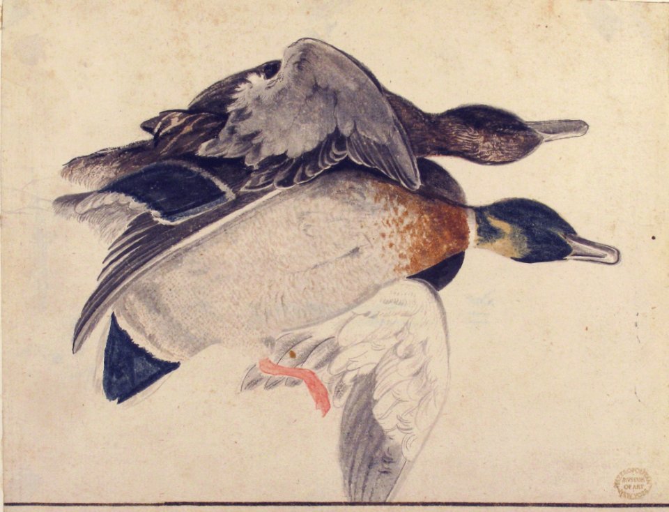 Two Dead Ducks MET 80.3.206