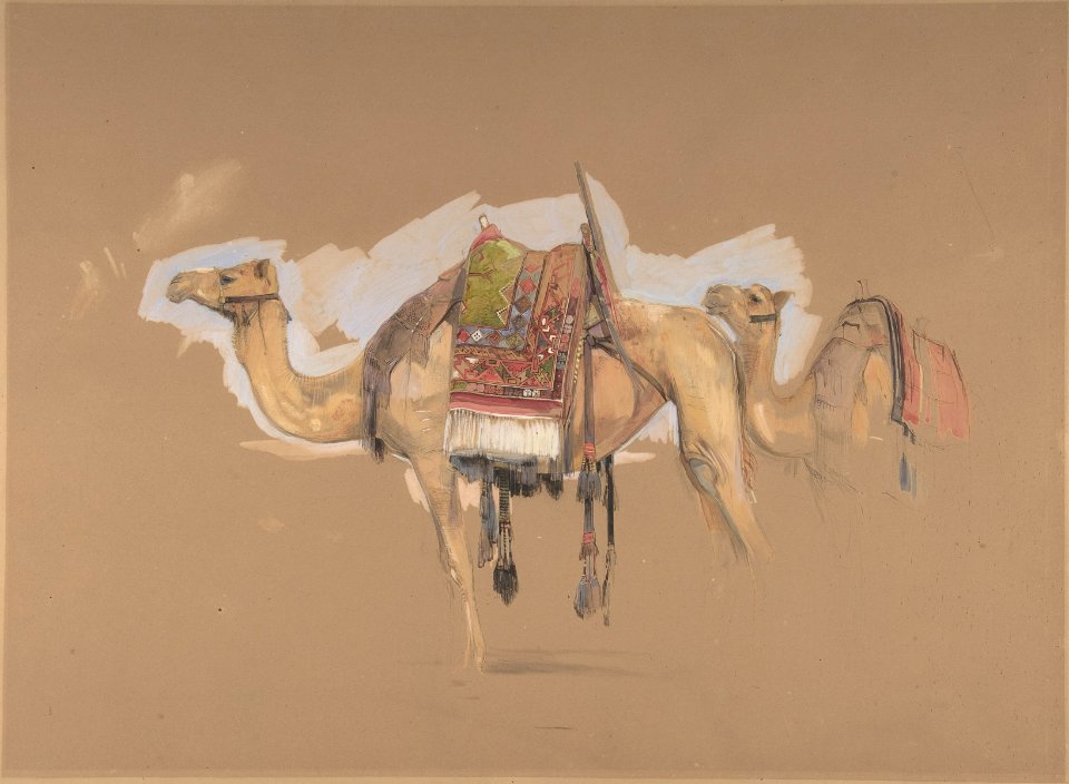 Two Camels MET DP805927