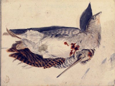 Two Dead Birds (A Quail and a Long-Beaked Bird). MET 80.3.205