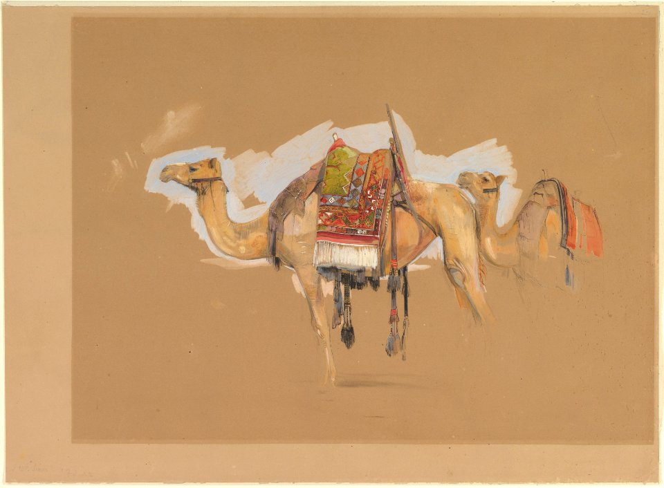 Two Camels MET DP825640
