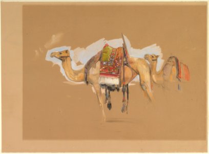 Two Camels MET DP825640