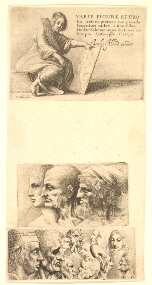 Varie Figuræ et Probæ MET DP823749