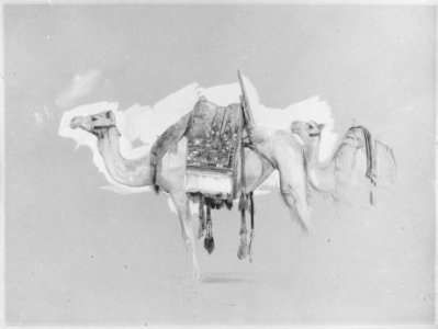 Two Camels MET 173483