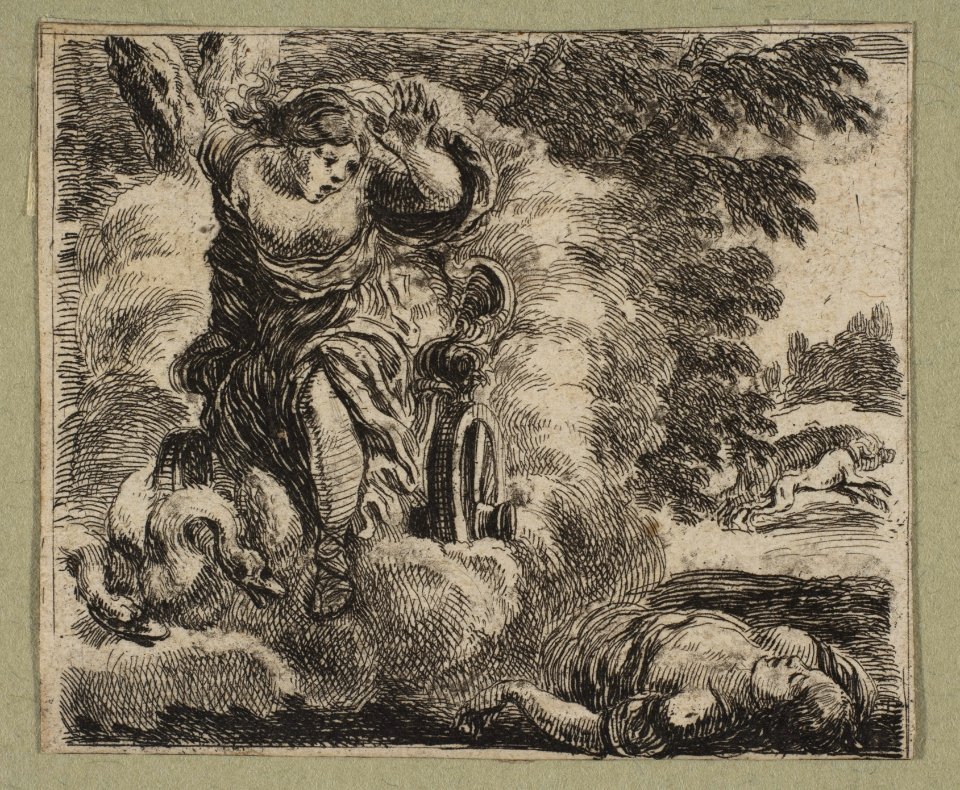 Venus et Adonis MET DP818109
