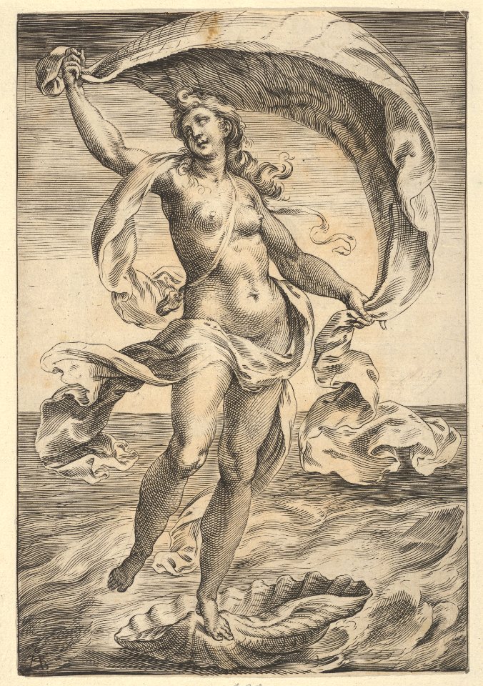 Venus on a half-shell, holding fabric over her head MET DP836931