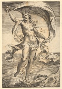 Venus on a half-shell, holding fabric over her head MET DP836931