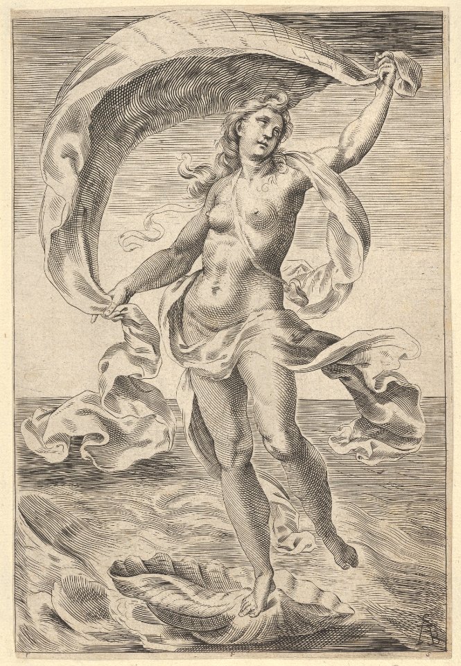 Venus on a half-shell, holding fabric over her head MET DP836930