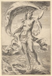 Venus on a half-shell, holding fabric over her head MET DP836930