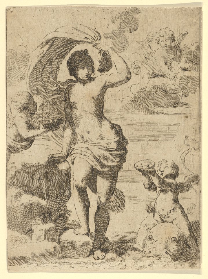 Venus stepping out of the sea, holding a billowing drapery in her left hand, Cupid at right offering pearls while riding a dolphin and a putto at left offering flowers, another in the clouds MET DP837923