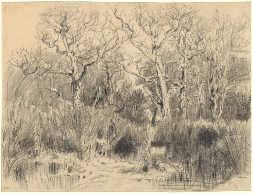 Trees in a Thicket MET DP217850