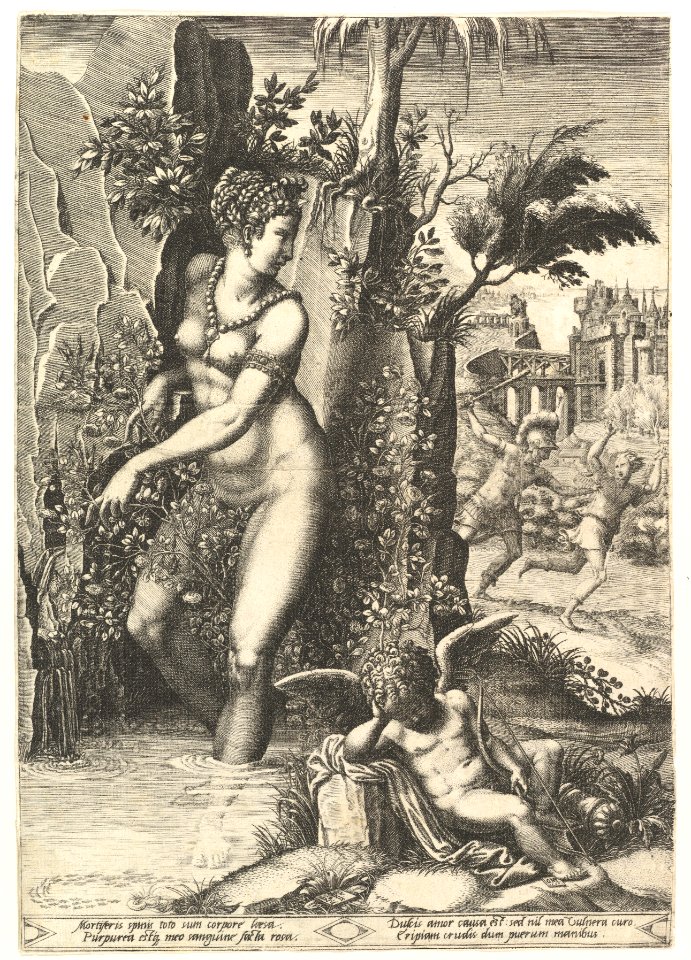 Venus pricked by the thorns on a rose bush, in the background Mars chasing Adonis, in the foreground winged cupid resting MET DP821277