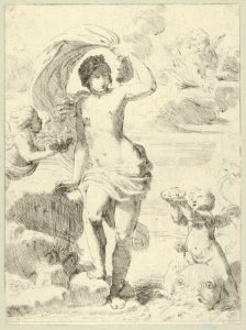 Venus stepping out of the sea, holding a billowing drapery in her left hand, Cupid at right offering pearls while riding a dolphin and a putto at left offering flowers, another in the clouds MET DP841758