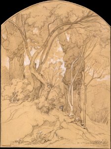 Trees in a Forest MET DT5733