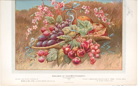 Trade Card for Hare & Co., Ltd Met DP885339