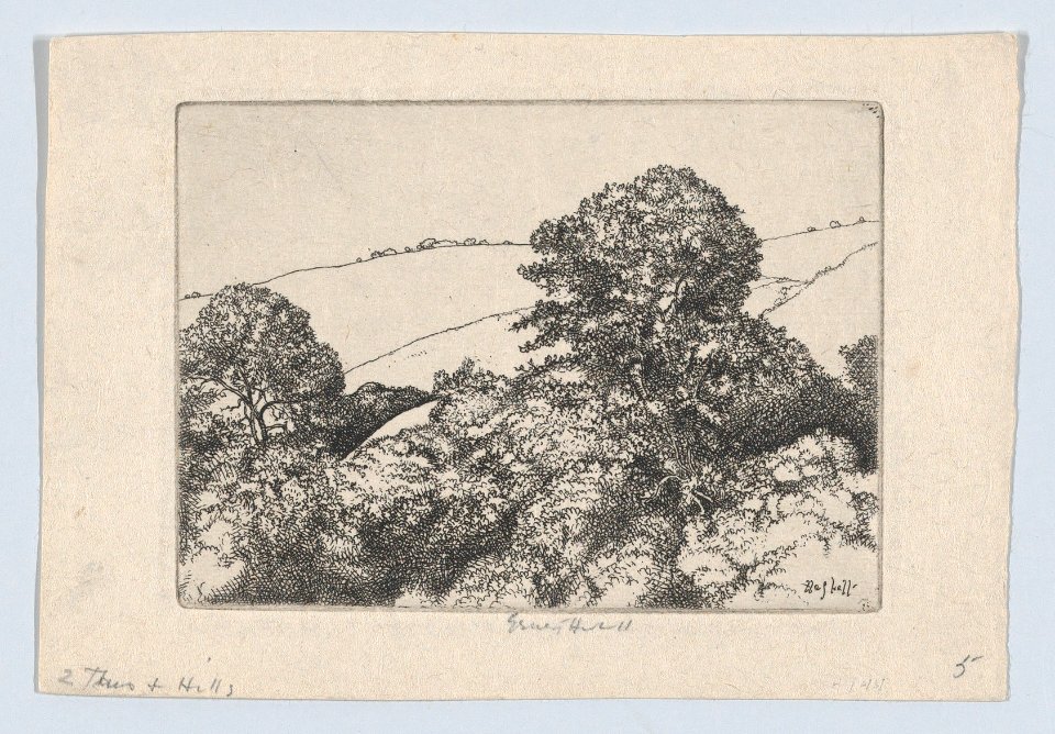 Trees and Hills MET DP873091
