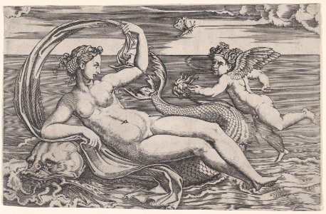 Venus Reclining on a Dolphin Met DP888601