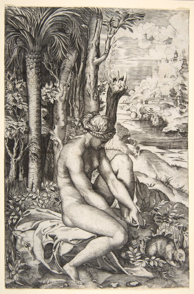 Venus removing a thorn from her left foot while seated on a cloth next to trees, a hare lower right, Marco Dente, circa 1515–27