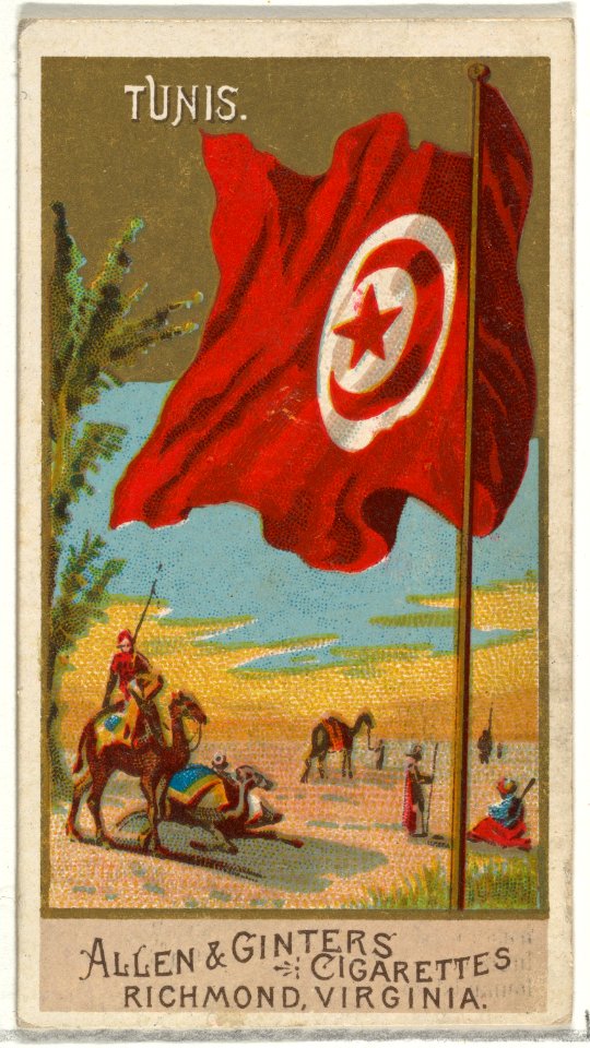 Tunis, from Flags of All Nations, Series 2 (N10) for Allen & Ginter Cigarettes Brands MET DP841401